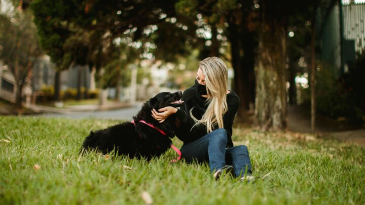 Trawnik dywanowy – jak go uzyskać?